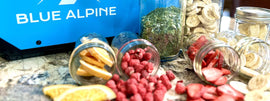How Does a Freeze Dryer Work? Understanding the Magic of Freeze Dryers
