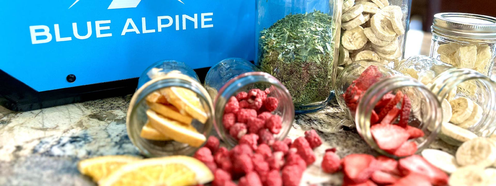 How Does a Freeze Dryer Work? Understanding the Magic of Freeze Dryers