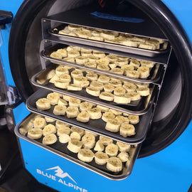 Is a Freeze Dryer Worth the Investment?