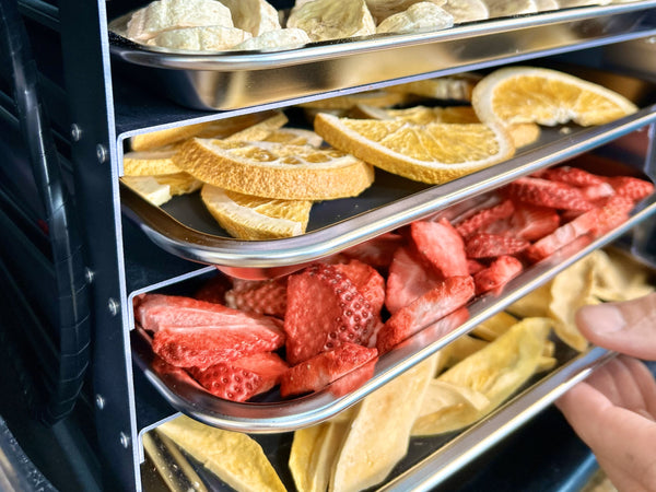 an assortment of fruits on trays in a freeze dryer