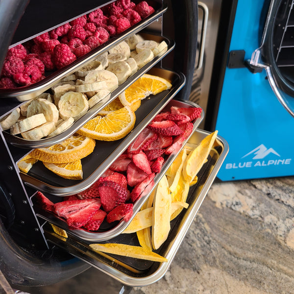 assortment of fruits going into medium freeze dryer machine on five stainless steel trays